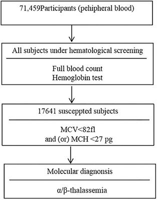 Molecular Characterization of α- and β-Thalassaemia Among Children From 1 to 10 Years of Age in Guangxi, A Multi-Ethnic Region in Southern China